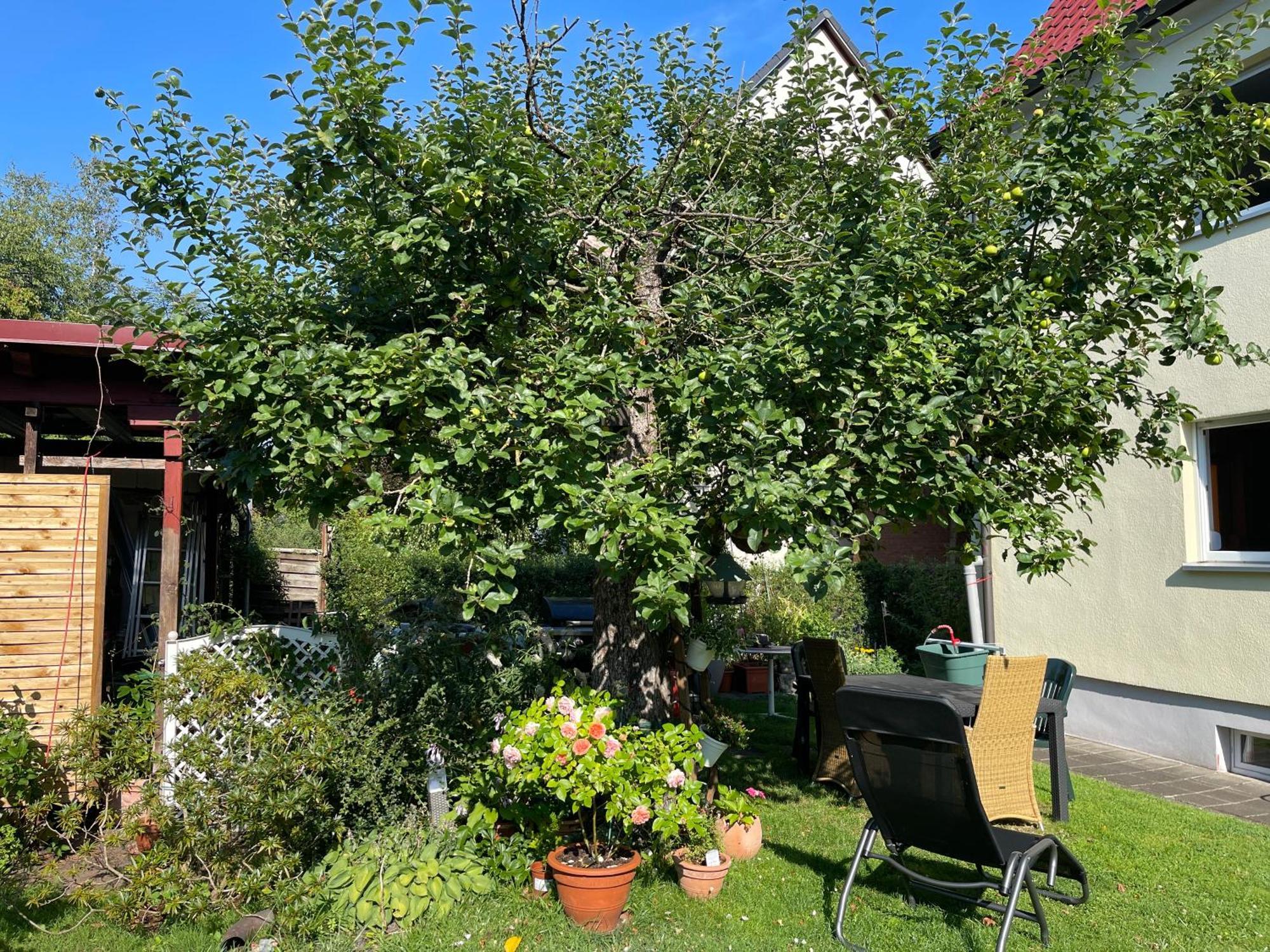 Claudias Apartment - 20 Minuten Bis Messe Nuernberg Kültér fotó